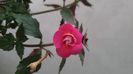 IMG-20240831-WA0049