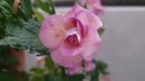 IMG-20240831-WA0061
