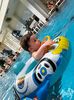 IMG-20240127-WA0009