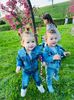 IMG-20240408-WA0013