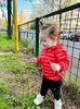 IMG-20240405-WA0016