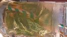 IMG-20240714-WA0028
