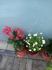 IMG20240906163053