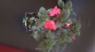 IMG-20240909-WA0087