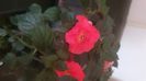 IMG-20240909-WA0085