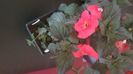 IMG-20240909-WA0083