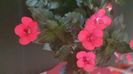IMG-20240909-WA0104