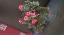 IMG-20240909-WA0108
