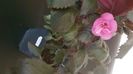 IMG-20240909-WA0128