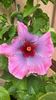 IMG-20240906-WA0001