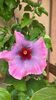 IMG-20240906-WA0000
