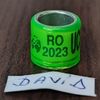 2023-Romania -P