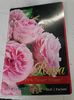 Pink Flower Village -5
