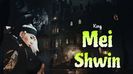 ☠︎ Mei Shwin decides to leave the party. He drives on his way home but