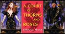 ⤷A Court of Thorns and Roses ✎ Sarah J. Maas「vol. 1﹚