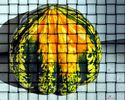 Stripped Pumpkin