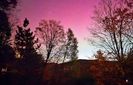 Pink Aurora