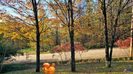 AUTUMN DECO