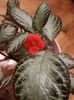 Img.2024.09.11