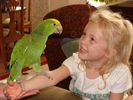 Baby Parrot and Girl