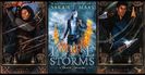 ⤷Empire of Storms ✎ Sarah J. Maas「vol. 5﹚