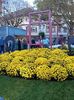 Img.2024.10.27
