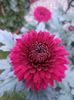 Img.2024.10.27-Almaty