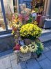 Img.2024.10.27