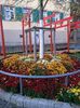 Img.2024.10.27