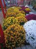 Img.2024.10.27