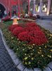 Img.2024.10.27