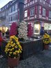 Img.2024.10.27