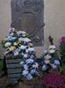 Img.2024.10.27