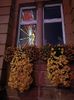 Img.2024.10.27