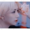 01.11 ⸒⸒ ⠀⠀ʚ⋅ɞ enchant—ing. ✷ tokki.