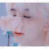 02.11 ⸒⸒ ⠀⠀ʚ⋅ɞ enchant—ing. ✷ tokki.