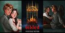 ⤷Gilded ✎ Marissa Meyer「vol. 1﹚
