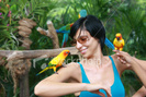 ist2_5293873-friendly-parrots