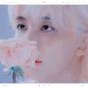03.11 ⸒⸒ ⠀⠀ʚ⋅ɞ enchant—ing. ✷ tokki.