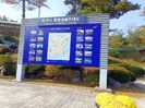 IMG20241024140037