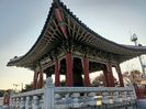 IMG20241024162602