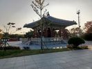 IMG20241024162631