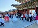 IMG20241025105057