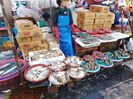 IMG20241028084050