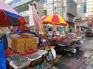 IMG20241028084053