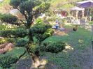 IMG20241029133154