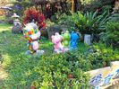 IMG20241029133346