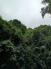 IMG20241029163751