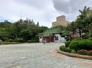IMG20241102095557