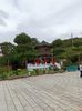 IMG20241102095643